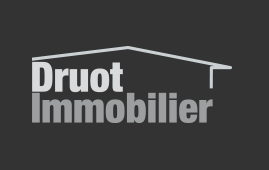 Logo Druot immobilier