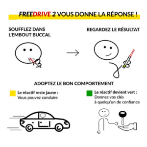 Infographie freedrive 2 Turdus