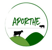 Logo Aporthe