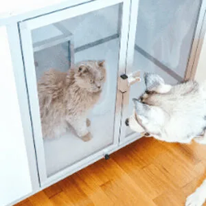 Illustration Braveur - client e-commerce BM Services Prestashop