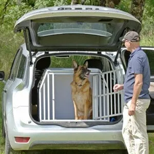 Illustration Braveur - client e-commerce BM Services Prestashop