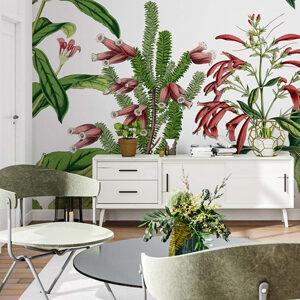 Illustration Site PaperMint - site e-commerce BM Services Prestashop