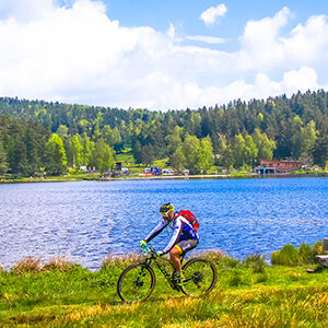 Illustration Lozérienne VTT