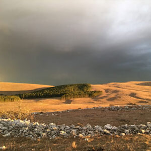 Association du cheval de Przewalski : photo environnement