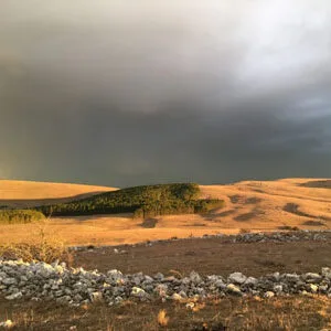 Association du cheval de Przewalski : photo environnement