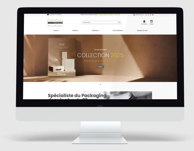 Mockup Site Web Bambou Diffusion