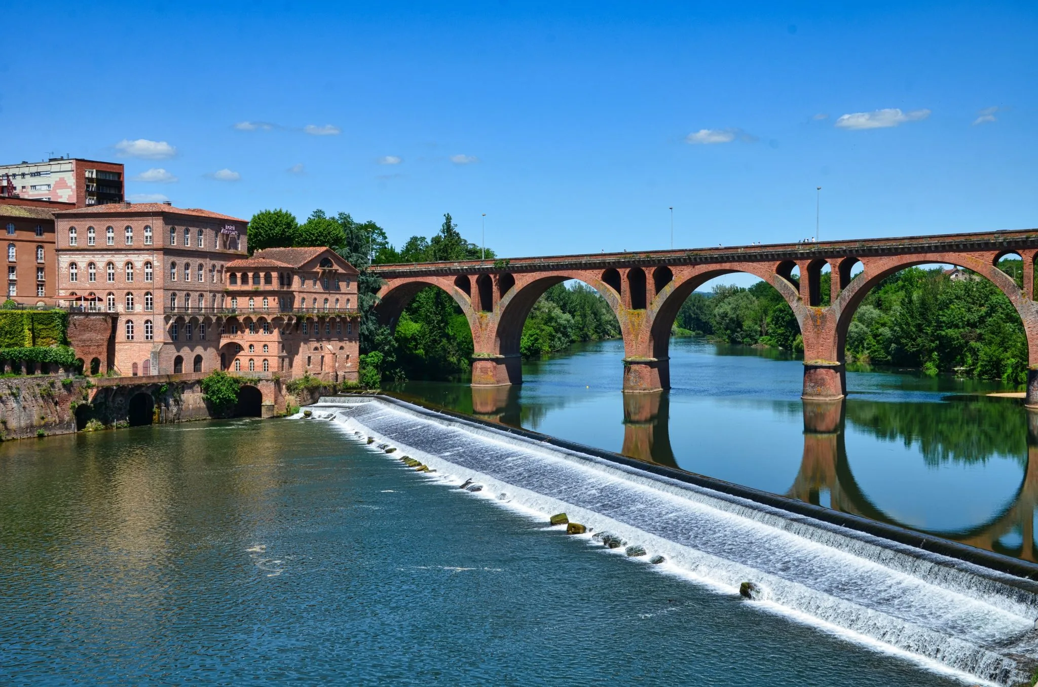 Agence de SEO à Albi